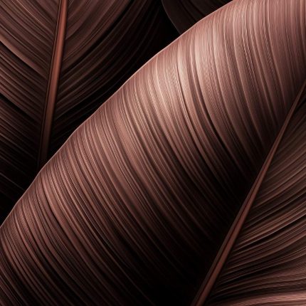 Leaves 0054 tapeta